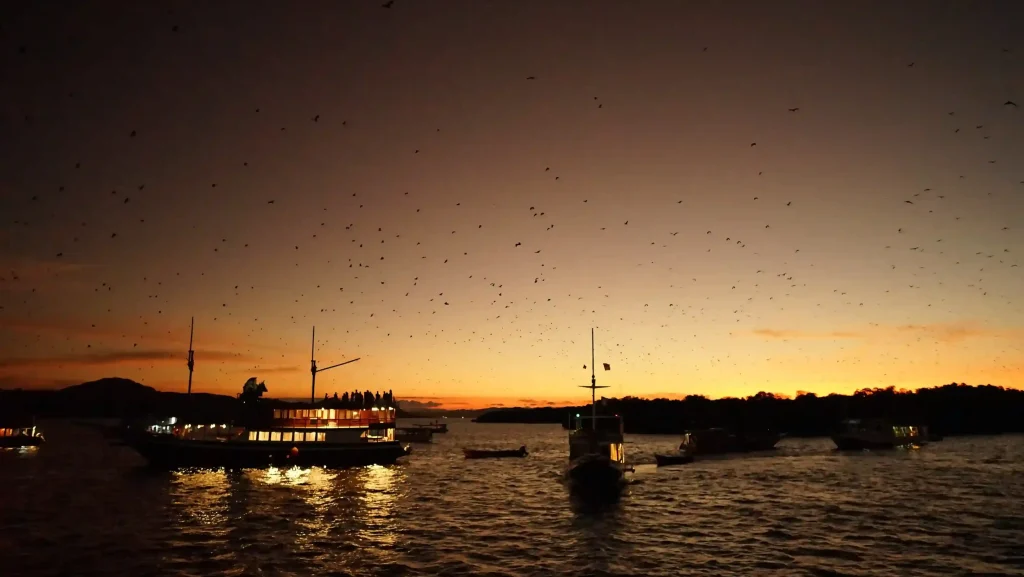 Flying foxes over moored phinisi at sunset off Kalong Island