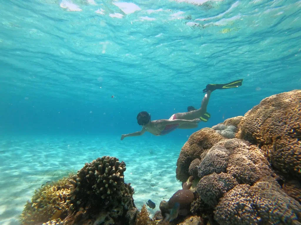 A snorkeller above the coral garden at Siaba Island