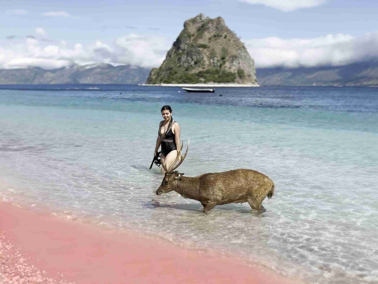 The pink sand and clear shallows of Pink Beach, Komodo National Park