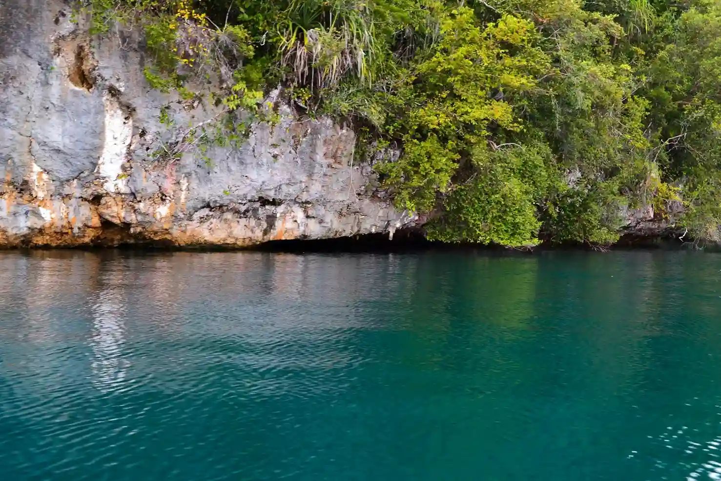 Clear shallow water over reef in Raja Ampat