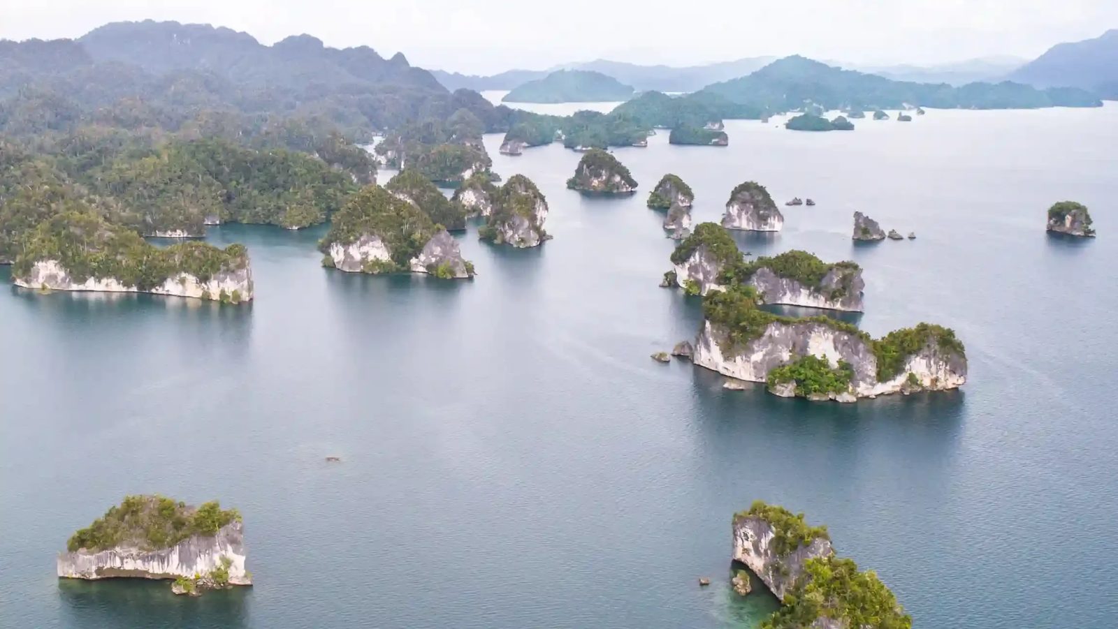 Kabui Bay