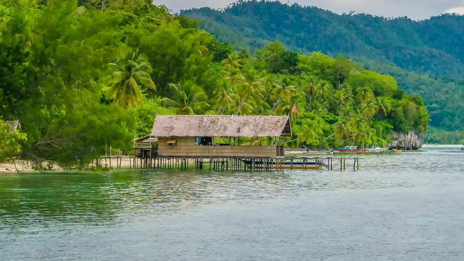 Mansuar