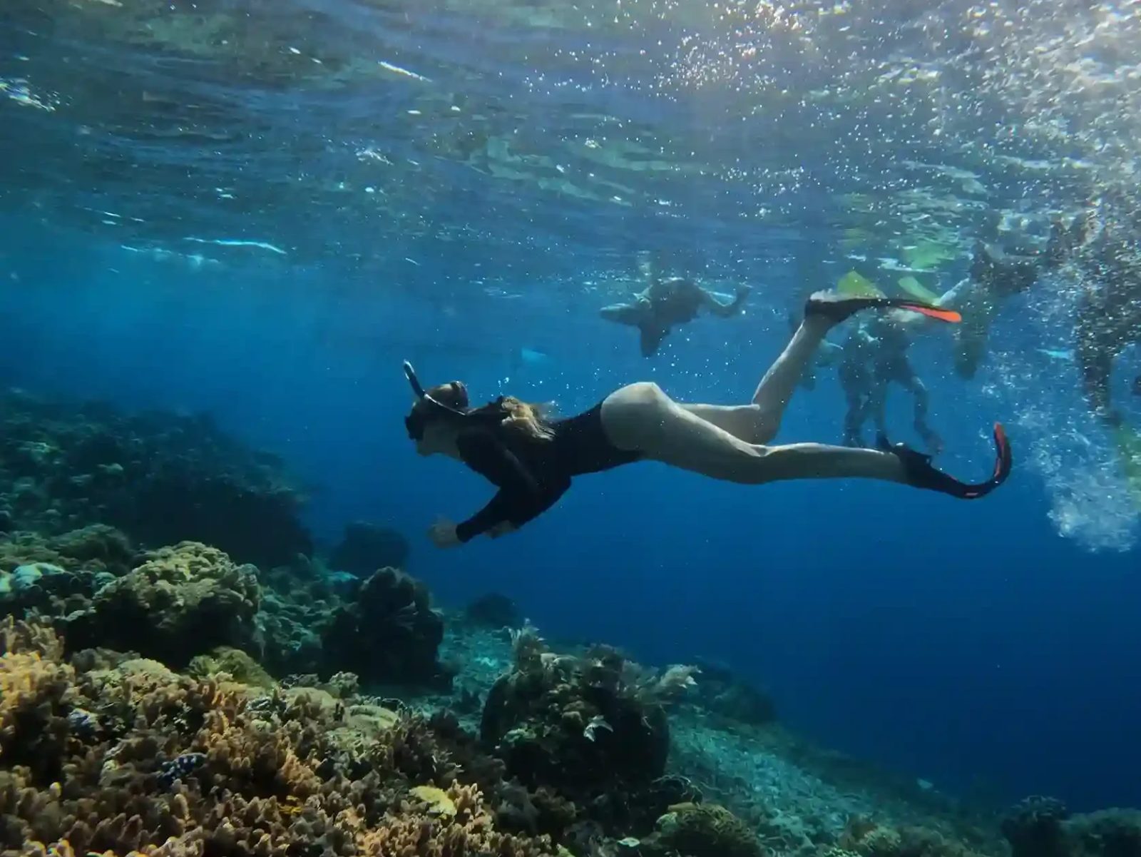Snorkeller over a shallow hard-coral garden in Raja Ampat